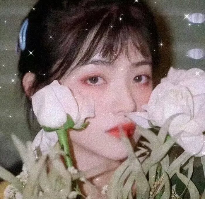 林投记